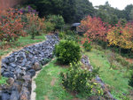 Gaels autumn garden(li)